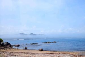 海岸沿いにやませと言われる霧が入り込んでいる写真