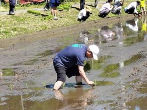 田植えをする様子の市長の写真