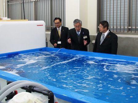 水が貼られた青い生簀の前で話をする様子の市長と2名の男性の写真
