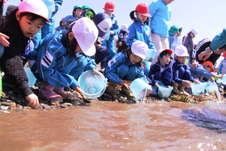 園児達が川沿いに並んで座り、バケツに入ったサケの稚魚を川へ流している写真