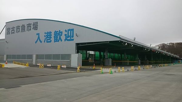 右側に向かって緩やかなカーブを描いた屋根の壁に「宮古市魚市場 入港歓迎」と大きく書かれた完成した増築棟の建物外観の写真