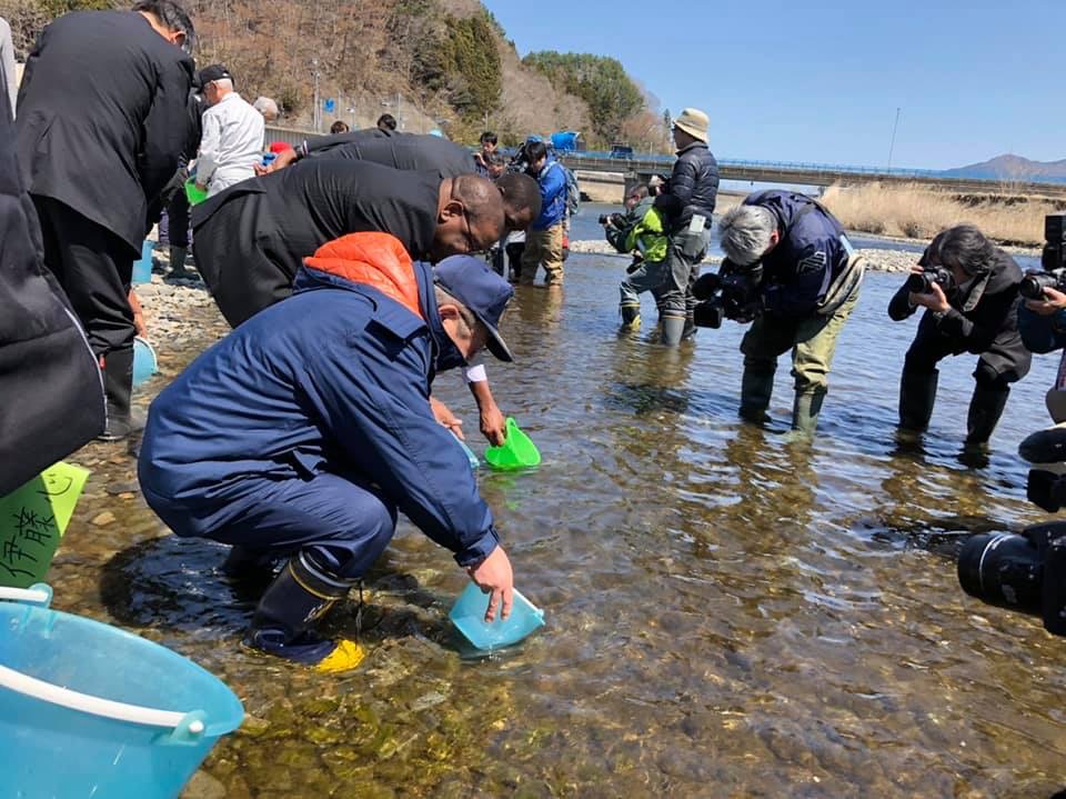 紺色の上下のジャージを着て長靴を履いた市長が青いバケツに入った稚魚を放流している様子の写真