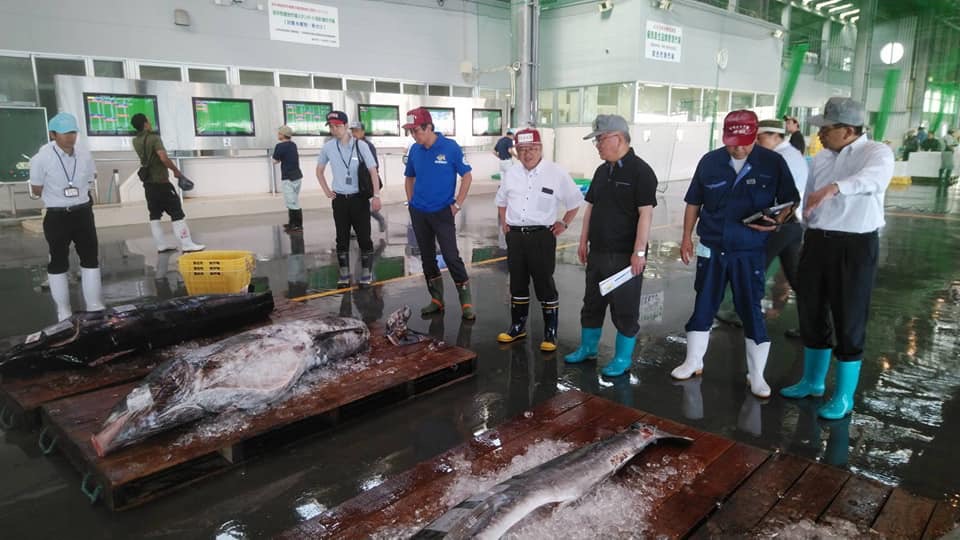大きな魚が並んでいる魚市場で、頭にキャップを被り長靴を履いた各市長の方々がスタッフの方から説明を受けている写真