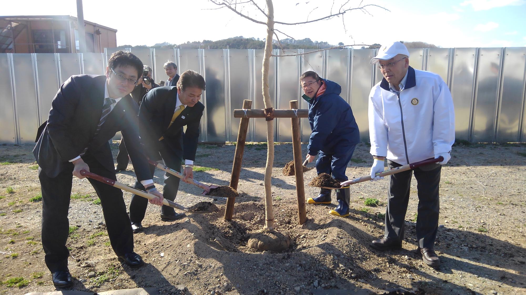 植樹された木の根本にショベルで土を盛っている市長と関係者の男性3名の写真